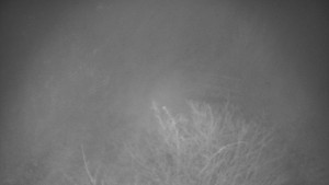 Bludný - Rajnochovice Troják - Bludný - Rajnochovice Troják - 7.12.2025 v 17:30 Bludný - Rajnochovice Troják - Bludný - Rajnochovice Troják - 7.12.2025 v 17:30