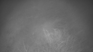 Bludný - Rajnochovice Troják - Bludný - Rajnochovice Troják - 7.12.2025 v 18:00 Bludný - Rajnochovice Troják - Bludný - Rajnochovice Troják - 7.12.2025 v 18:00