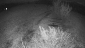 Bludný - Rajnochovice Troják - Bludný - Rajnochovice Troják - 7.12.2025 v 21:00 Bludný - Rajnochovice Troják - Bludný - Rajnochovice Troják - 7.12.2025 v 21:00