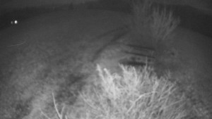 Bludný - Rajnochovice Troják - Bludný - Rajnochovice Troják - 7.12.2025 v 21:30 Bludný - Rajnochovice Troják - Bludný - Rajnochovice Troják - 7.12.2025 v 21:30