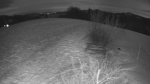 Bludný - Rajnochovice Troják - Bludný - Rajnochovice Troják - 2.1.2026 v 02:30 Bludný - Rajnochovice Troják - Bludný - Rajnochovice Troják - 2.1.2026 v 02:30