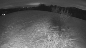 Bludný - Rajnochovice Troják - Bludný - Rajnochovice Troják - 2.1.2026 v 04:30 Bludný - Rajnochovice Troják - Bludný - Rajnochovice Troják - 2.1.2026 v 04:30