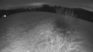 Bludný - Rajnochovice Troják - Bludný - Rajnochovice Troják - 2.1.2026 v 05:00 Bludný - Rajnochovice Troják - Bludný - Rajnochovice Troják - 2.1.2026 v 05:00