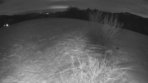 Bludný - Rajnochovice Troják - Bludný - Rajnochovice Troják - 2.1.2026 v 05:30 Bludný - Rajnochovice Troják - Bludný - Rajnochovice Troják - 2.1.2026 v 05:30