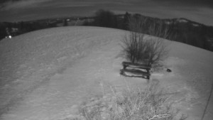 Bludný - Rajnochovice Troják - Bludný - Rajnochovice Troják - 4.1.2026 v 00:00 Bludný - Rajnochovice Troják - Bludný - Rajnochovice Troják - 4.1.2026 v 00:00