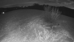 Bludný - Rajnochovice Troják - Bludný - Rajnochovice Troják - 4.1.2026 v 18:00 Bludný - Rajnochovice Troják - Bludný - Rajnochovice Troják - 4.1.2026 v 18:00