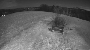 Bludný - Rajnochovice Troják - Bludný - Rajnochovice Troják - 4.1.2026 v 22:00 Bludný - Rajnochovice Troják - Bludný - Rajnochovice Troják - 4.1.2026 v 22:00