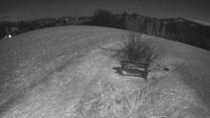 Bludný - Rajnochovice Troják - Bludný - Rajnochovice Troják - 4.1.2026 v 22:30 Bludný - Rajnochovice Troják - Bludný - Rajnochovice Troják - 4.1.2026 v 22:30