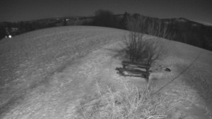 Bludný - Rajnochovice Troják - Bludný - Rajnochovice Troják - 4.1.2026 v 23:00 Bludný - Rajnochovice Troják - Bludný - Rajnochovice Troják - 4.1.2026 v 23:00