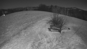 Bludný - Rajnochovice Troják - Bludný - Rajnochovice Troják - 4.1.2026 v 23:30 Bludný - Rajnochovice Troják - Bludný - Rajnochovice Troják - 4.1.2026 v 23:30