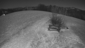 Bludný - Rajnochovice Troják - Bludný - Rajnochovice Troják - 5.1.2026 v 02:00 Bludný - Rajnochovice Troják - Bludný - Rajnochovice Troják - 5.1.2026 v 02:00