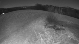 Bludný - Rajnochovice Troják - Bludný - Rajnochovice Troják - 5.1.2026 v 06:30 Bludný - Rajnochovice Troják - Bludný - Rajnochovice Troják - 5.1.2026 v 06:30