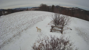 Bludný - Rajnochovice Troják - Bludný - Rajnochovice Troják - 5.1.2026 v 15:30 Bludný - Rajnochovice Troják - Bludný - Rajnochovice Troják - 5.1.2026 v 15:30