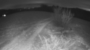 Bludný - Rajnochovice Troják - Bludný - Rajnochovice Troják - 5.1.2026 v 17:30 Bludný - Rajnochovice Troják - Bludný - Rajnochovice Troják - 5.1.2026 v 17:30