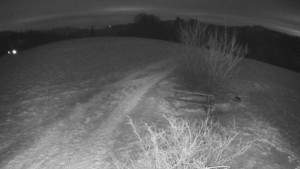 Bludný - Rajnochovice Troják - Bludný - Rajnochovice Troják - 5.1.2026 v 22:30 Bludný - Rajnochovice Troják - Bludný - Rajnochovice Troják - 5.1.2026 v 22:30