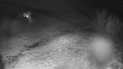 Bludný - Rajnochovice Troják