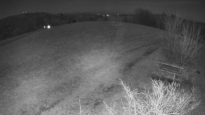 Bludný - Rajnochovice Troják - Bludný - Rajnochovice Troják - 6.3.2026 v 02:00 Bludný - Rajnochovice Troják - Bludný - Rajnochovice Troják - 6.3.2026 v 02:00