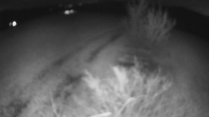 Bludný - Rajnochovice Troják - Bludný - Rajnochovice Troják - 22.3.2026 v 00:00 Bludný - Rajnochovice Troják - Bludný - Rajnochovice Troják - 22.3.2026 v 00:00