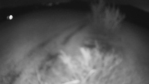 Bludný - Rajnochovice Troják - Bludný - Rajnochovice Troják - 22.3.2026 v 03:00 Bludný - Rajnochovice Troják - Bludný - Rajnochovice Troják - 22.3.2026 v 03:00