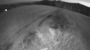 Bludný - Rajnochovice Troják - Bludný - Rajnochovice Troják - 22.3.2026 v 05:00 Bludný - Rajnochovice Troják - Bludný - Rajnochovice Troják - 22.3.2026 v 05:00