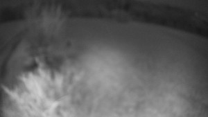 Bludný - Rajnochovice Troják - Bludný - Rajnochovice Troják - 4.4.2026 v 02:00 Bludný - Rajnochovice Troják - Bludný - Rajnochovice Troják - 4.4.2026 v 02:00