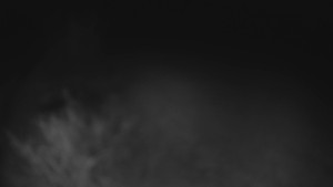 Bludný - Rajnochovice Troják - Bludný - Rajnochovice Troják - 4.4.2026 v 21:00 Bludný - Rajnochovice Troják - Bludný - Rajnochovice Troják - 4.4.2026 v 21:00