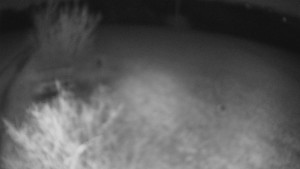 Bludný - Rajnochovice Troják - Bludný - Rajnochovice Troják - 4.4.2026 v 23:30 Bludný - Rajnochovice Troják - Bludný - Rajnochovice Troják - 4.4.2026 v 23:30