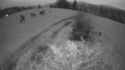 Bludný - Rajnochovice Troják