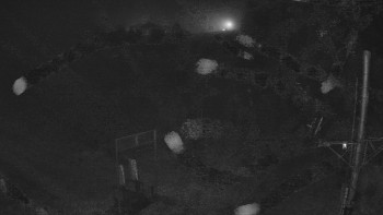 Snímek 17.11.2025 v 00:15