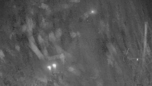 Skiareál Troják - Kamera u nástupu na vlek svah A - 2.12.2025 v 03:05 Skiareál Troják - Kamera u nástupu na vlek svah A - 2.12.2025 v 03:05