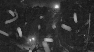 Skiareál Troják - Kamera u nástupu na vlek svah A - 11.12.2025 v 04:00 Skiareál Troják - Kamera u nástupu na vlek svah A - 11.12.2025 v 04:00