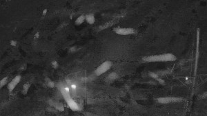 Skiareál Troják - Kamera u nástupu na vlek svah A - 19.12.2025 v 03:10 Skiareál Troják - Kamera u nástupu na vlek svah A - 19.12.2025 v 03:10