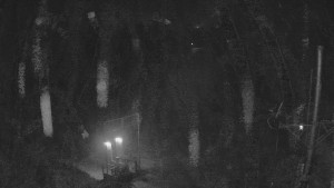 Skiareál Troják - Kamera u nástupu na vlek svah A - 19.12.2025 v 03:25 Skiareál Troják - Kamera u nástupu na vlek svah A - 19.12.2025 v 03:25