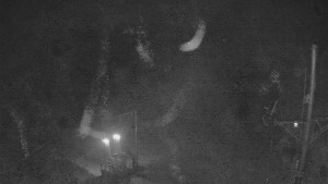 Skiareál Troják - Kamera u nástupu na vlek svah A - 19.12.2025 v 04:15 Skiareál Troják - Kamera u nástupu na vlek svah A - 19.12.2025 v 04:15