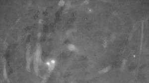 Skiareál Troják - Kamera u nástupu na vlek svah A - 19.12.2025 v 05:25 Skiareál Troják - Kamera u nástupu na vlek svah A - 19.12.2025 v 05:25