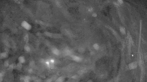 Skiareál Troják - Kamera u nástupu na vlek svah A - 19.12.2025 v 05:40 Skiareál Troják - Kamera u nástupu na vlek svah A - 19.12.2025 v 05:40