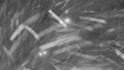 Kamera u nástupu na vlek svah A