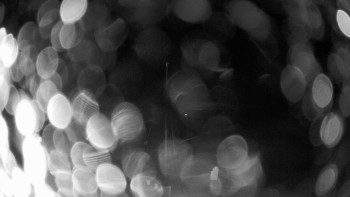 Snímek    26.10.2025 v 05:00
