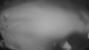 Skiareál Troják - Troják, Maruška - meteo stanice - 28.10.2025 v 17:10 Skiareál Troják - Troják, Maruška - meteo stanice - 28.10.2025 v 17:10