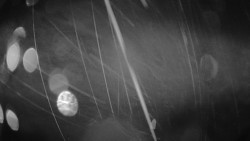 Troják, Maruška - meteo stanice