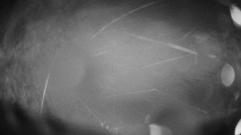 Snímek    3.11.2025 v 03:35