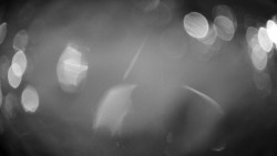 Troják, Maruška - meteo stanice