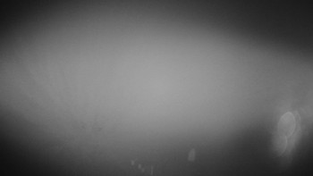 Snímek 14.11.2025 v 05:55