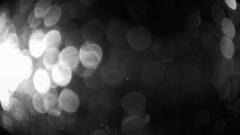 Snímek 14.11.2025 v 20:35