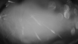 Troják, Maruška - meteo stanice