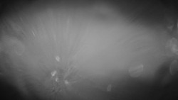 Troják, Maruška - meteo stanice