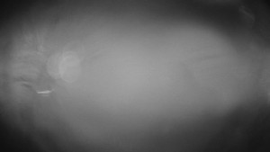 Skiareál Troják - Troják, Maruška - meteo stanice - 17.11.2025 v 03:00 Skiareál Troják - Troják, Maruška - meteo stanice - 17.11.2025 v 03:00