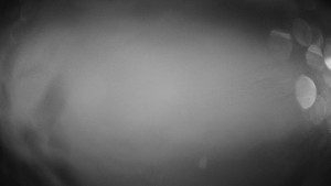 Skiareál Troják - Troják, Maruška - meteo stanice - 17.11.2025 v 03:30 Skiareál Troják - Troják, Maruška - meteo stanice - 17.11.2025 v 03:30