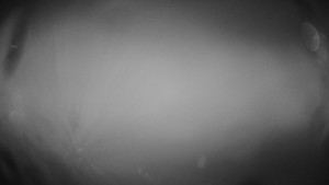 Skiareál Troják - Troják, Maruška - meteo stanice - 17.11.2025 v 04:00 Skiareál Troják - Troják, Maruška - meteo stanice - 17.11.2025 v 04:00