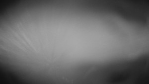 Skiareál Troják - Troják, Maruška - meteo stanice - 17.11.2025 v 05:30 Skiareál Troják - Troják, Maruška - meteo stanice - 17.11.2025 v 05:30